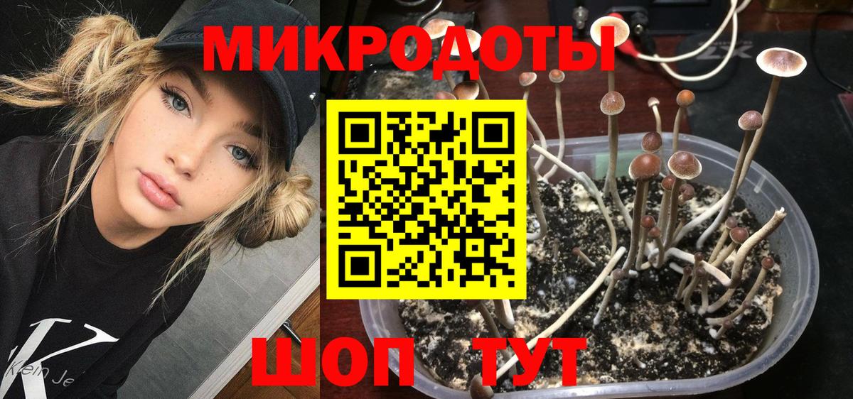 Мурманск  Галлюциногенные грибы Psilocybe  Вход с VPN 